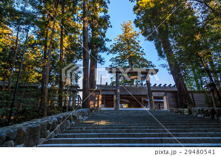 早朝の伊勢神宮御正宮 29480541