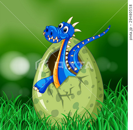 Blue dragon hatching egg on grass Blue dragon hatching egg on grass 29480558