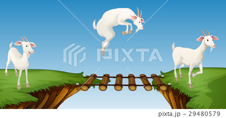 Three goats crossing bridge 29480579