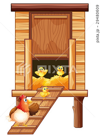 Chicken coop with hen and chicks 29480609