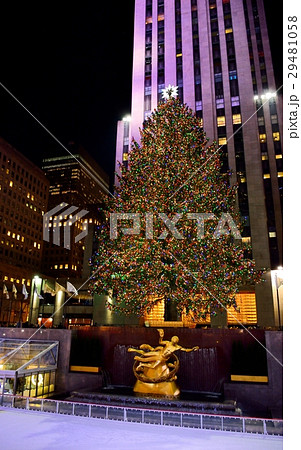 ニューヨーク・クリスマス ニューヨーク・クリスマス 29481058