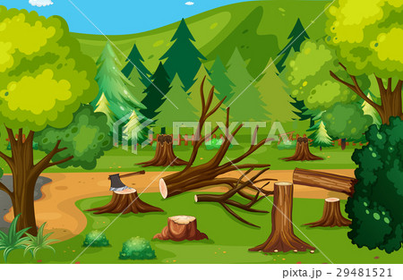 Deforestation scene with chopped woods 29481521
