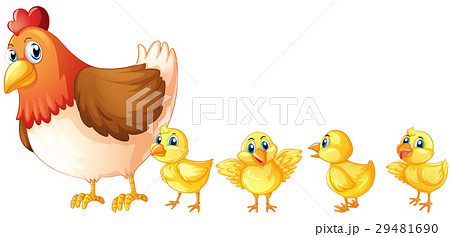 Mother hen and four chicks 29481690
