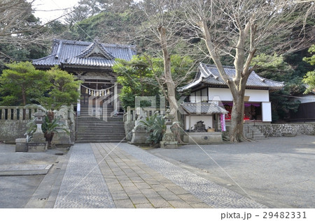 伊豆稲取の八幡神社 伊豆稲取の八幡神社 29482331