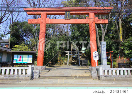 世田谷八幡宮 29482464