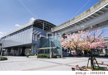 名古屋市東区 大曽根駅とカワヅザクラ 名古屋市東区 大曽根駅とカワヅザクラ 29482658