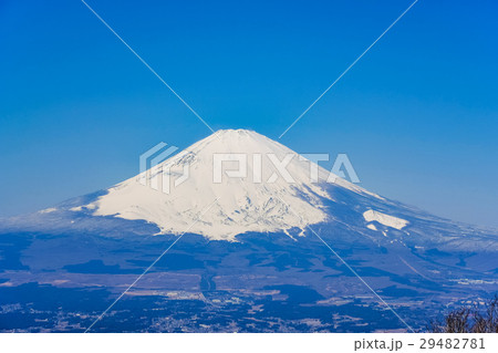 金時山から望む富士山 金時山から望む富士山 29482781