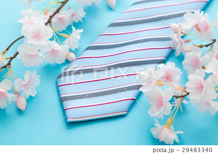 ネクタイと桜 29483340