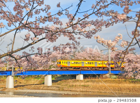 三岐鉄道の春 三岐鉄道の春 29483508