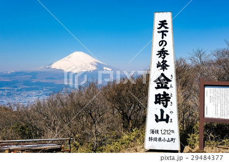 金時山山頂 29484377