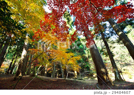 紅葉 香川県金比羅裏参道 の写真素材