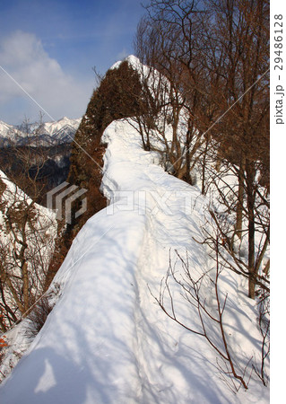 雪の八剣山登山道 29486128