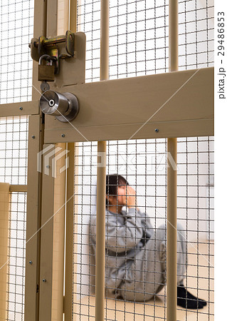 25 留置所画像 無料画像ポピュラー壁紙ahd