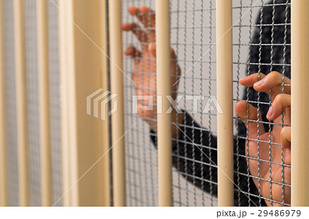 刑務所、留置所、犯罪、逮捕、保留、監獄、牢屋、拘束、犯人、牢獄、詐欺、捕まえる、警察、男性、日本人 29486979