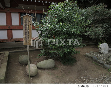 香取神宮　さし石 29487504