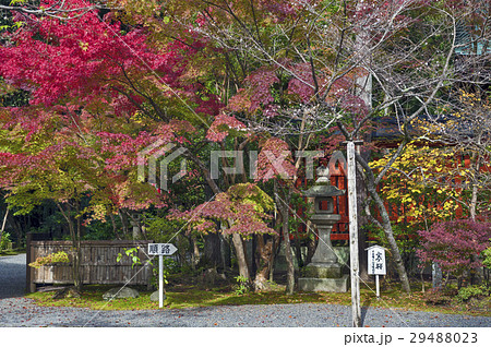 Colourful autumn leaves at a temple in Japan Colourful autumn leaves at a temple in Japan 29488023