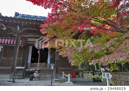 Colourful autumn leaves at a temple in Japan Colourful autumn leaves at a temple in Japan 29488029