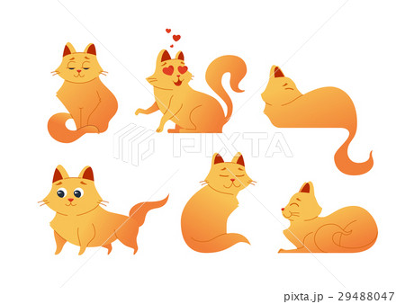 Kitty Cat - modern vector set of flat 29488047
