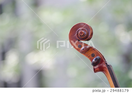The violin's head looks like a beautiful spiral, t The violin's head looks like a beautiful spiral, t 29488179