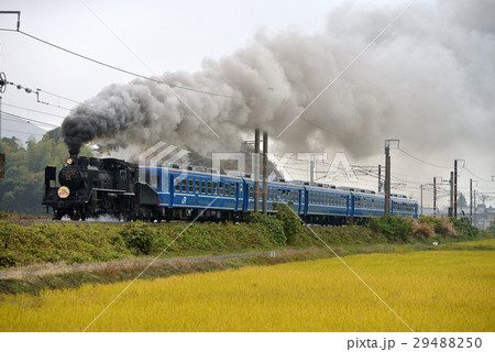 C56160SL北びわこ号 C56160SL北びわこ号 29488250