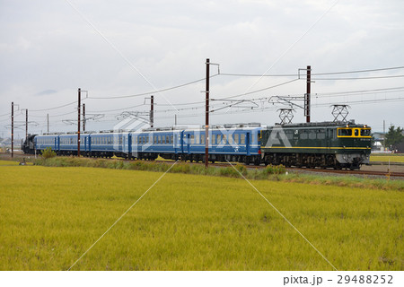 EF651124の牽くSL北びわこ号回送列車 29488252