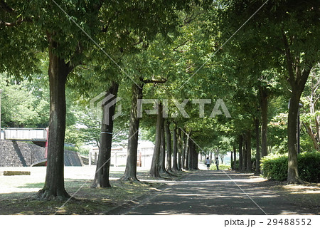 東京都八王子市「秋葉台公園」の風景 29488552