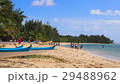 ビーチ 29488962