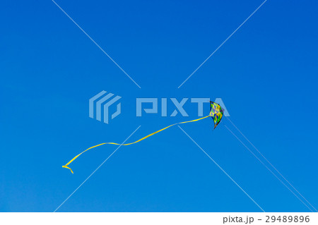 Colorful Kite Flying In Summer Blue Sky Colorful Kite Flying In Summer Blue Sky 29489896