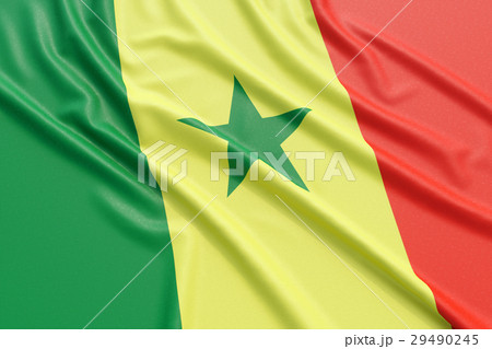 Senegal flag 29490245