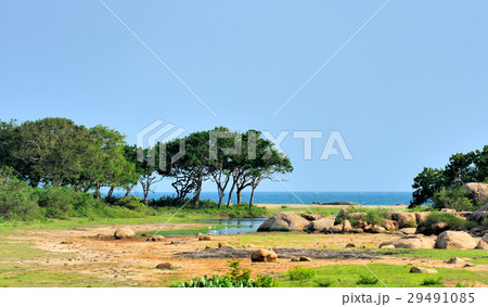 National park of Sri Lanka National park of Sri Lanka 29491085