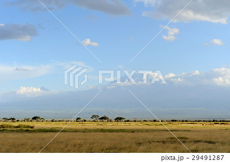 Snow on top of Mount Kilimanjaro 29491287