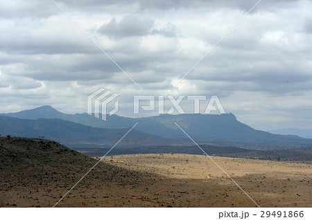 Landscape in Tsavo National Park, Kenya Landscape in Tsavo National Park, Kenya 29491866