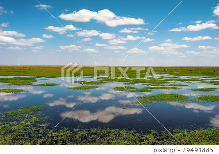 Summer landscape Summer landscape 29491885