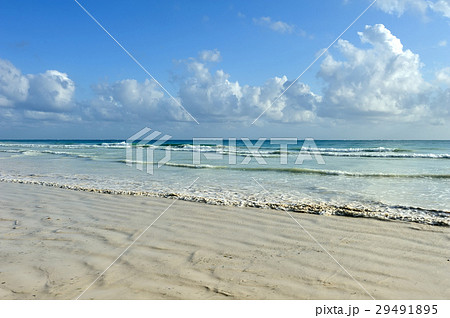 Summer beach and ocean Summer beach and ocean 29491895