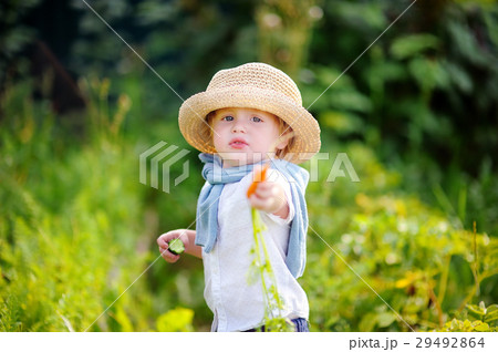 Cute toddler boy showing fresh organic carrot 29492864