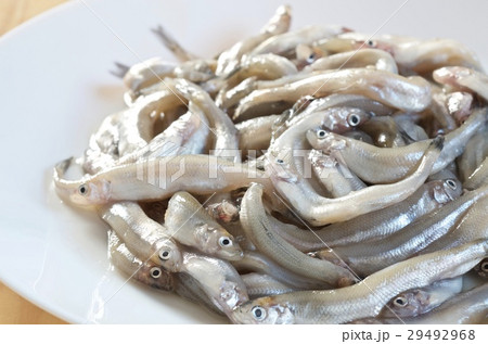 お皿の上の小魚、ヨーロピアンスメルト、ニシキュウリウオ 29492968