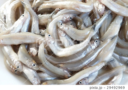 お皿の上の小魚、ヨーロピアンスメルト、ニシキュウリウオ 29492969