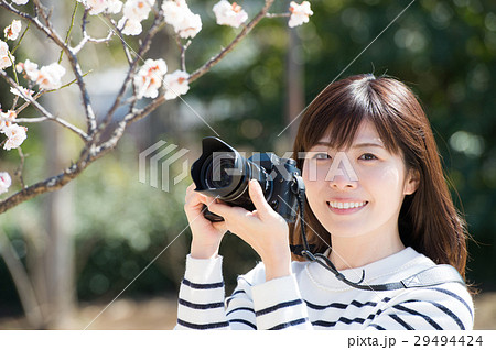 梅の花を撮る若い女性の写真素材 [29494424] - PIXTA