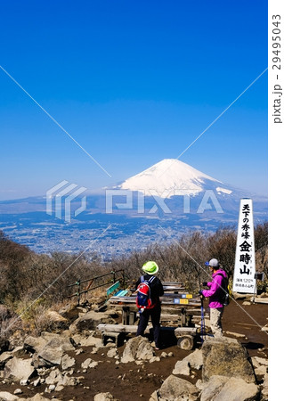 金時山山頂 金時山山頂 29495043
