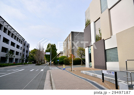 大阪大学豊中キャンパス 銀杏通り 右総合図書館 大阪大学豊中キャンパス 銀杏通り 右総合図書館 29497187