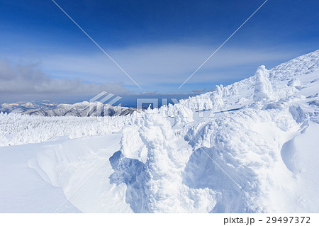 山形蔵王_快晴に輝く樹氷群 29497372