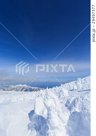 山形蔵王_快晴に輝く樹氷群 29497377