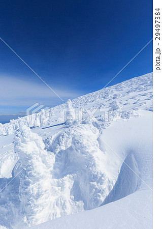 山形蔵王_快晴に輝く樹氷群 29497384