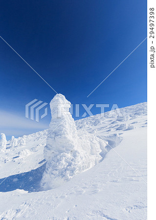 山形蔵王_快晴に輝く樹氷群 山形蔵王_快晴に輝く樹氷群 29497398