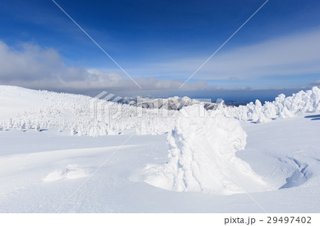 山形蔵王_快晴に輝く樹氷群 山形蔵王_快晴に輝く樹氷群 29497402
