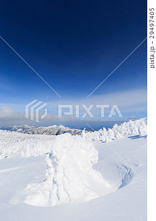 山形蔵王_快晴に輝く樹氷群 29497405