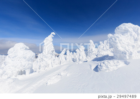 山形蔵王_快晴に輝く樹氷群 山形蔵王_快晴に輝く樹氷群 29497489