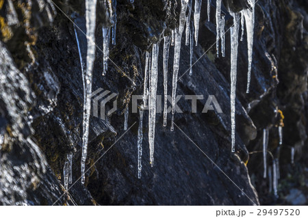 台湾 氷 アイス 29497520