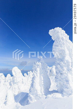 山形蔵王_快晴に輝く樹氷群 29497579
