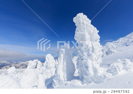 山形蔵王_快晴に輝く樹氷群 29497592